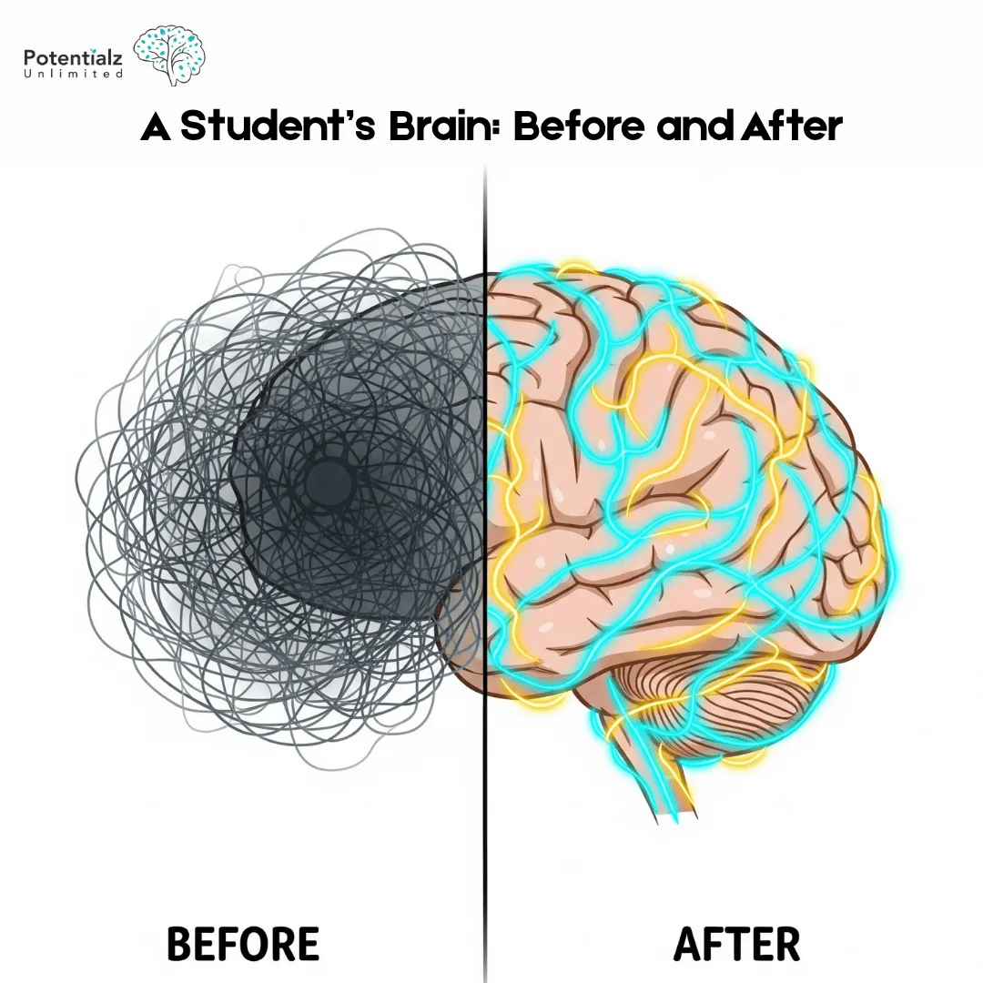 A Student’s Brain: Before and After