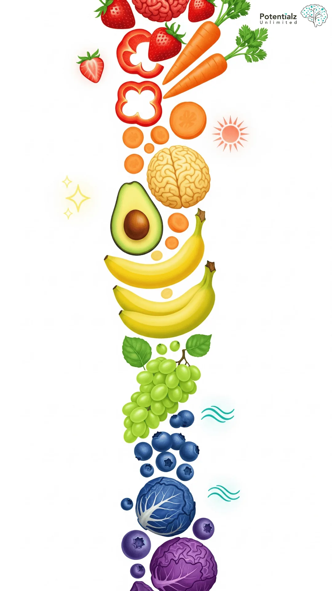 A vibrant array of brain-boosting foods, illustrating how different nutrients support neurotransmitter function and cognitive health.