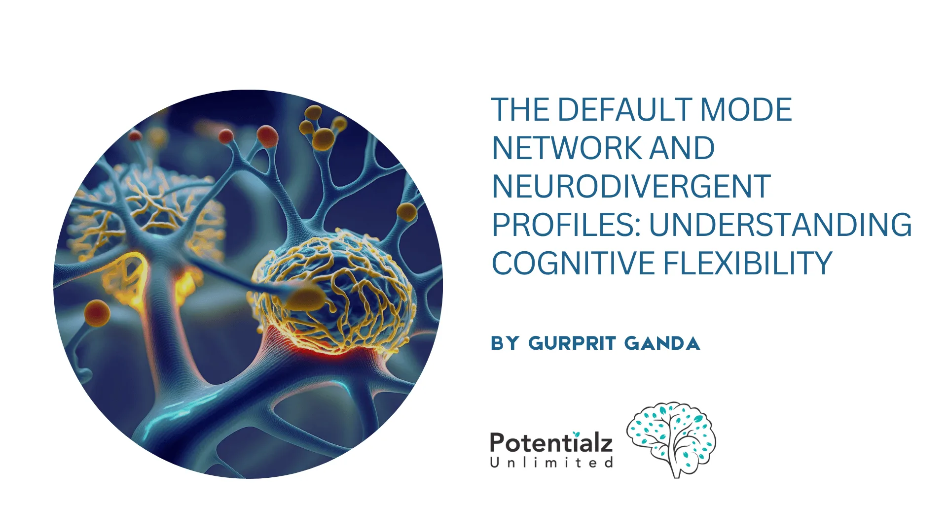 The Default Mode Network and Neurodivergent Profiles: Understanding Cognitive Flexibility