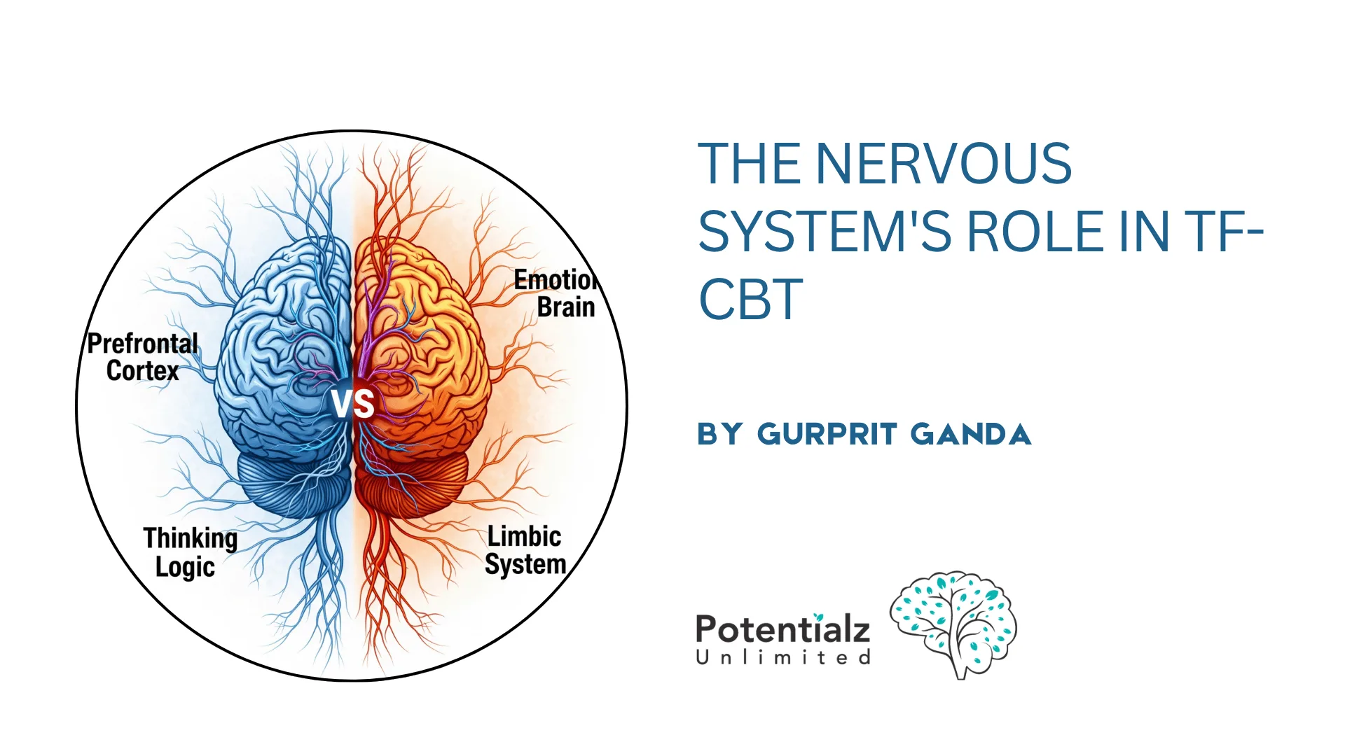 The Nervous System's Role in TFCBT: Understanding Trauma Through a Somatic Lens