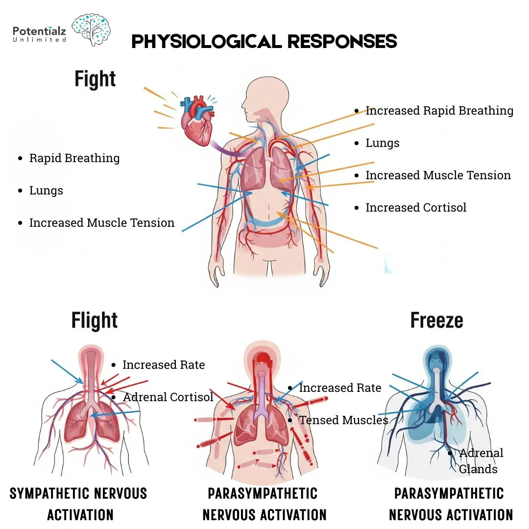 Depiction of Flight, Fight and Freeze Response