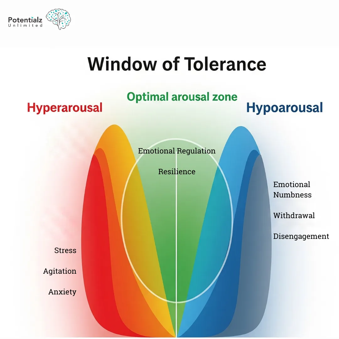 Window of tolerance diagram showing optimal arousal zone in the middle, with hyperarousal zone and hypoarousal zone on the sides