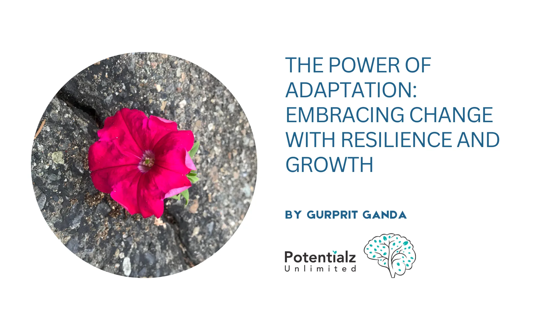 The Power of Adaptation: Embracing Change with Resilience and Growth