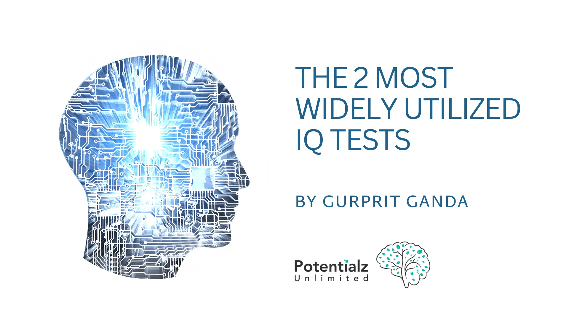 the 2 Most Widely Utilized IQ Tests